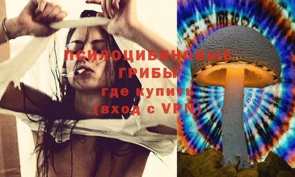 кокаин премиум Алексеевка