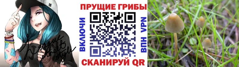 Галлюциногенные грибы мицелий  Нефтекамск 